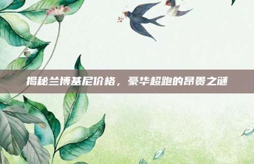 揭秘兰博基尼价格，豪华超跑的昂贵之谜
