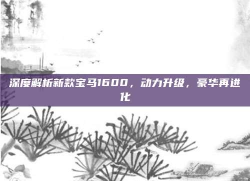 深度解析新款宝马1600，动力升级，豪华再进化