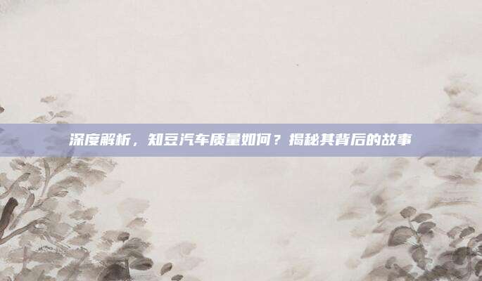 深度解析，知豆汽车质量如何？揭秘其背后的故事