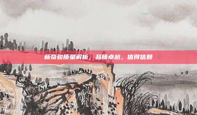 新奇骏质量解析，品质卓越，值得信赖