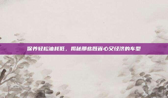 保养轻松油耗低，揭秘那些既省心又经济的车型