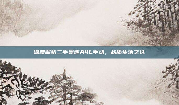 深度解析二手奥迪A4L手动，品质生活之选