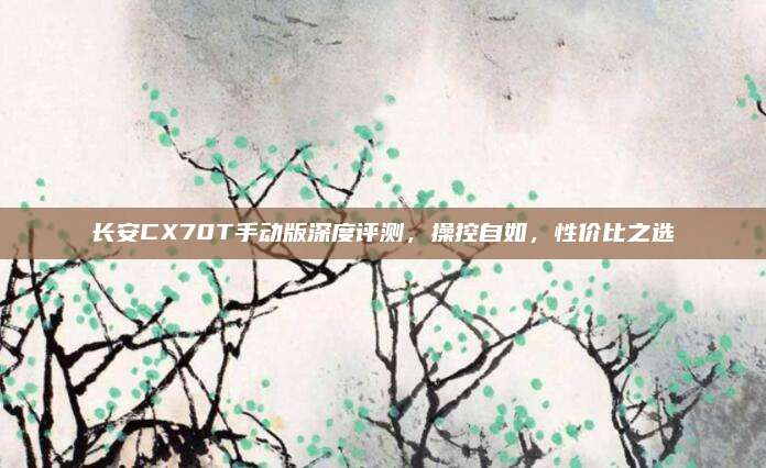 长安CX70T手动版深度评测，操控自如，性价比之选