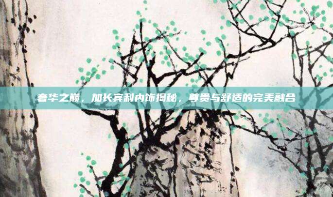奢华之巅，加长宾利内饰揭秘，尊贵与舒适的完美融合