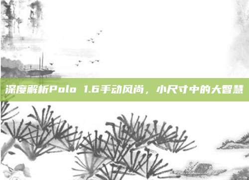 深度解析Polo 1.6手动风尚，小尺寸中的大智慧