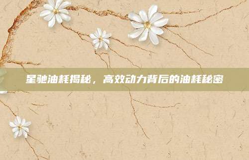 星驰油耗揭秘，高效动力背后的油耗秘密