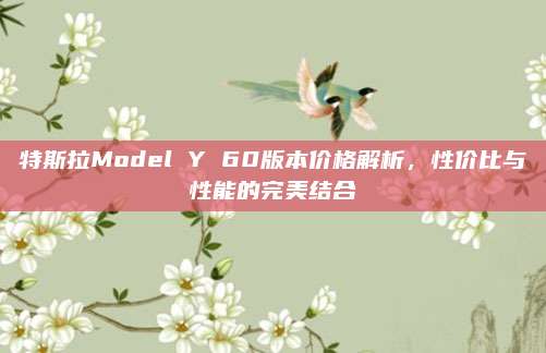 特斯拉Model Y 60版本价格解析,性价比与性能的完美结合