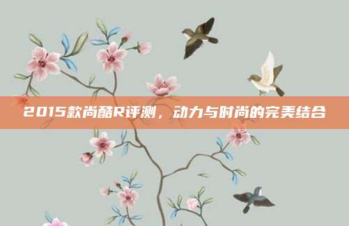 2015款尚酷R评测，动力与时尚的完美结合