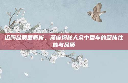 迈腾总质量解析，深度揭秘大众中型车的整体性能与品质