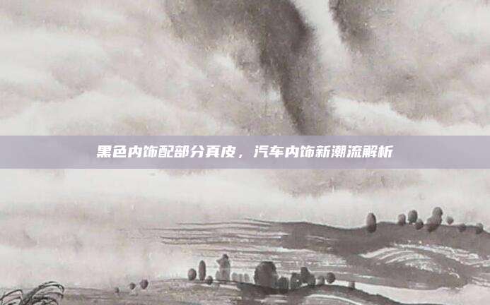 黑色内饰配部分真皮,汽车内饰新潮流解析