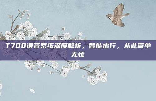 T700语音系统深度解析，智能出行，从此简单无忧