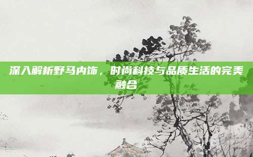 深入解析野马内饰，时尚科技与品质生活的完美融合