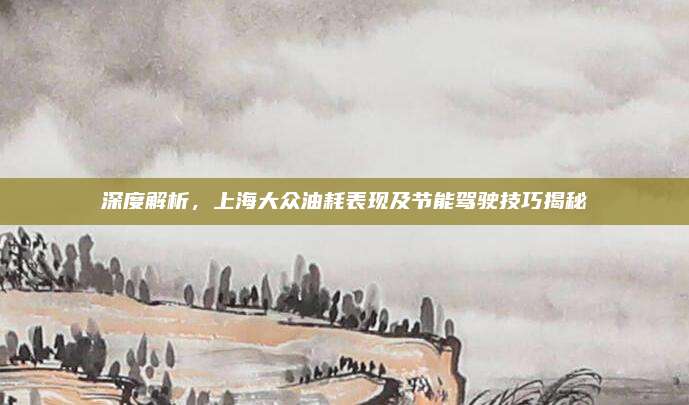 深度解析,上海大众油耗表现及节能驾驶技巧揭秘