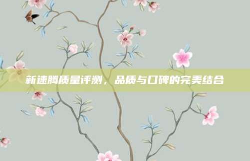新速腾质量评测，品质与口碑的完美结合