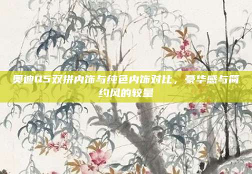 奥迪Q5双拼内饰与纯色内饰对比，豪华感与简约风的较量