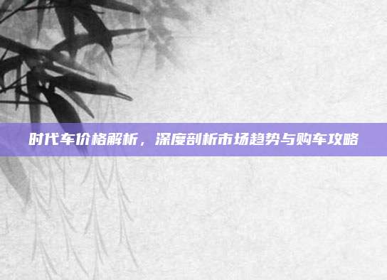 时代车价格解析,深度剖析市场趋势与购车攻略