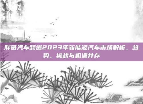 胖哥汽车频道2023年新能源汽车市场解析，趋势、挑战与机遇并存