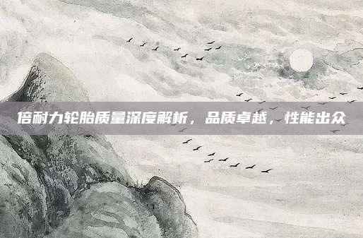 倍耐力轮胎质量深度解析，品质卓越，性能出众