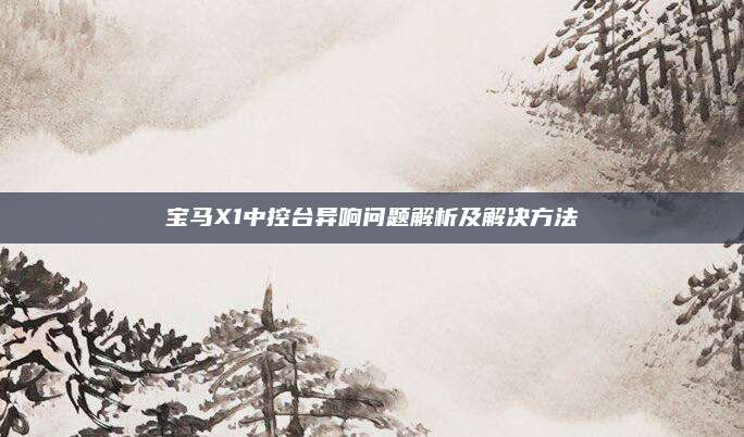 宝马X1中控台异响问题解析及解决方法