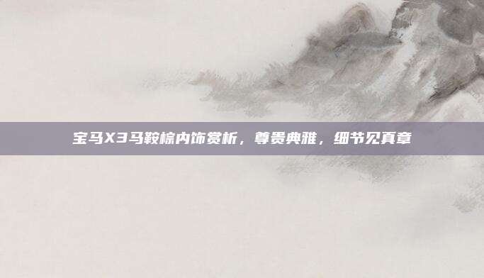 宝马X3马鞍棕内饰赏析，尊贵典雅，细节见真章