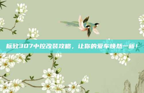 标致307中控改装攻略，让你的爱车焕然一新！