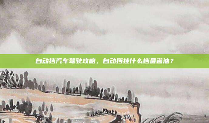 自动挡汽车驾驶攻略，自动挡挂什么档最省油？
