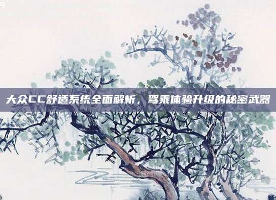 大众CC舒适系统全面解析，驾乘体验升级的秘密武器