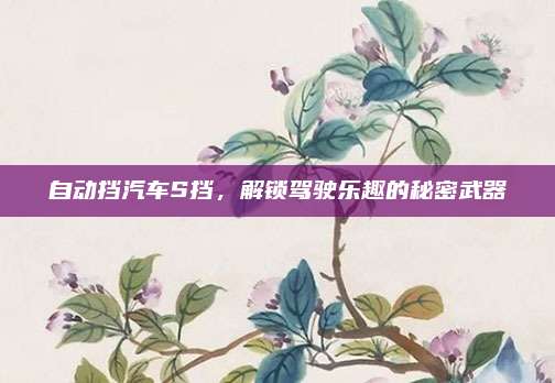 自动挡汽车S挡，解锁驾驶乐趣的秘密武器