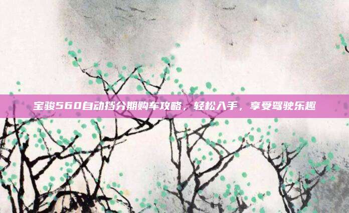 宝骏560自动挡分期购车攻略，轻松入手，享受驾驶乐趣