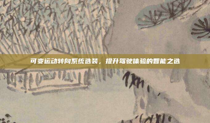 可变运动转向系统选装,提升驾驶体验的智能之选