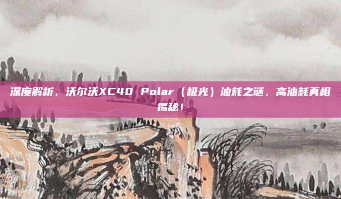 深度解析，沃尔沃XC40 Polar（极光）油耗之谜，高油耗真相揭秘！