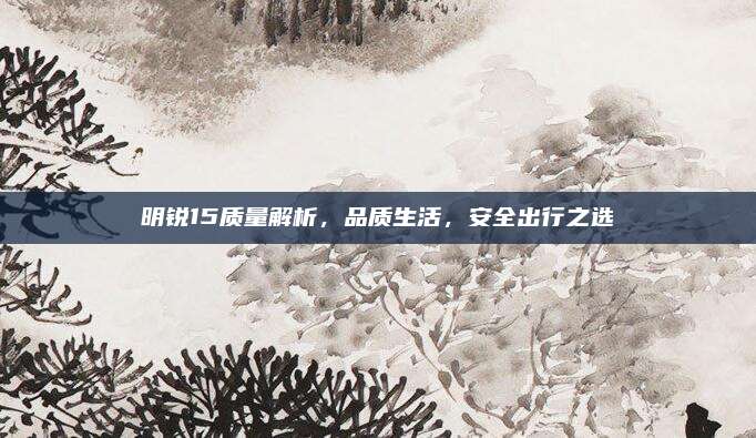 明锐15质量解析，品质生活，安全出行之选