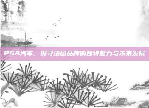 PSA汽车，探寻法国品牌的独特魅力与未来发展