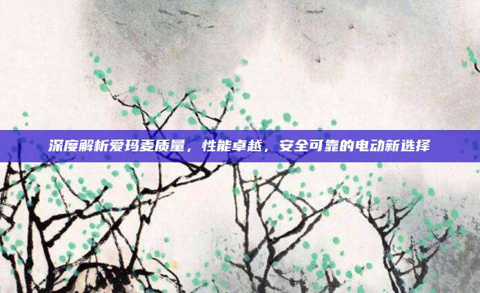 深度解析爱玛麦质量,性能卓越,安全可靠的电动新选择