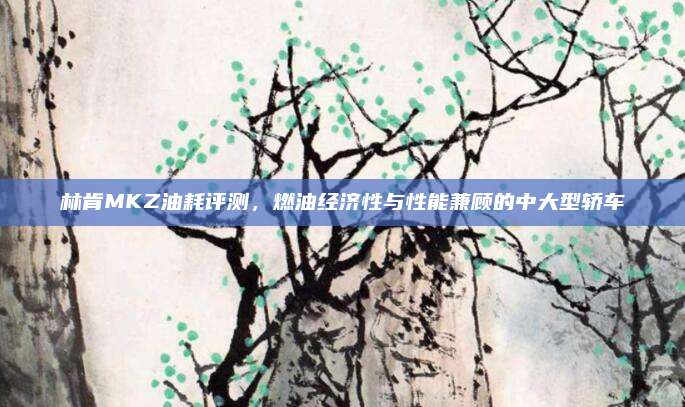 林肯MKZ油耗评测，燃油经济性与性能兼顾的中大型轿车