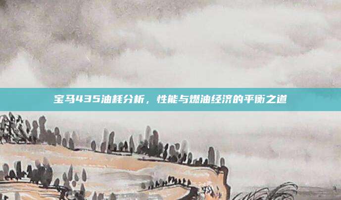 宝马435油耗分析，性能与燃油经济的平衡之道