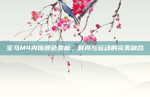 宝马M4内饰颜色赏析，时尚与运动的完美融合