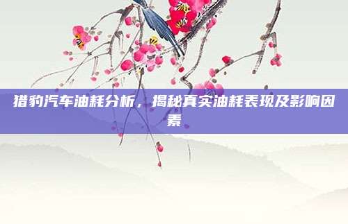 猎豹汽车油耗分析，揭秘真实油耗表现及影响因素