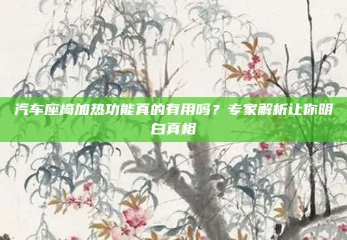 汽车座椅加热功能真的有用吗？专家解析让你明白真相