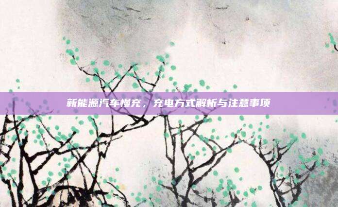 新能源汽车慢充，充电方式解析与注意事项