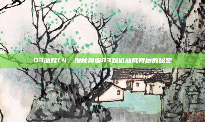 Q3油耗1.4，揭秘奥迪Q3超低油耗背后的秘密