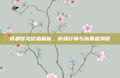 成都梦龙价格解析，市场行情与消费者洞察
