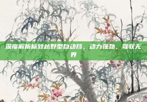 深度解析标致越野型自动挡，动力强劲，驾驭无界