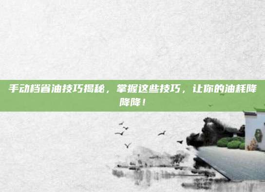 手动档省油技巧揭秘，掌握这些技巧，让你的油耗降降降！