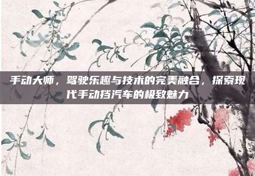 手动大师，驾驶乐趣与技术的完美融合，探索现代手动挡汽车的极致魅力