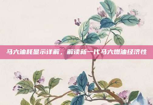 马六油耗显示详解,解读新一代马六燃油经济性