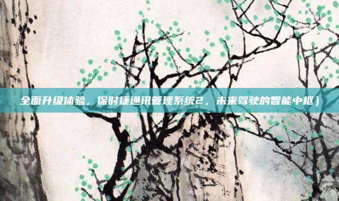 全面升级体验,保时捷通讯管理系统2,未来驾驶的智能中枢)