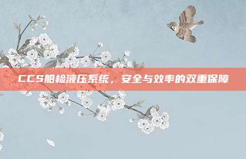 CCS船检液压系统，安全与效率的双重保障
