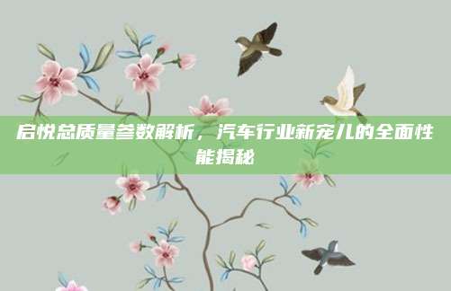 启悦总质量参数解析，汽车行业新宠儿的全面性能揭秘