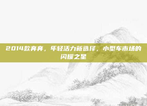 2014款奔奔，年轻活力新选择，小型车市场的闪耀之星
